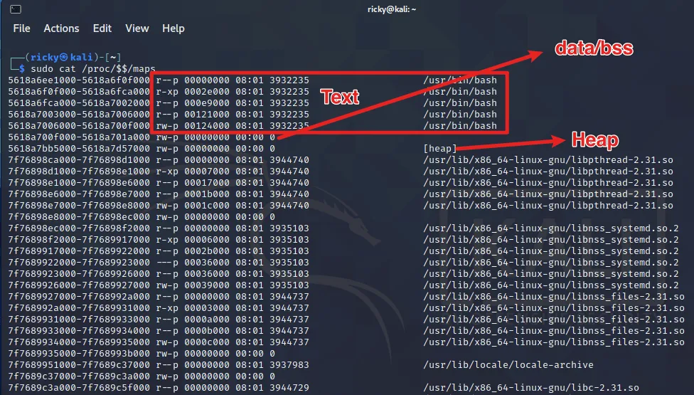 image-20210203013259642