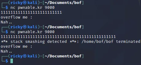 image-20210203035007785