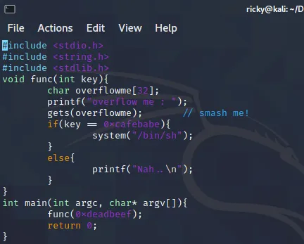image-20210203143421150